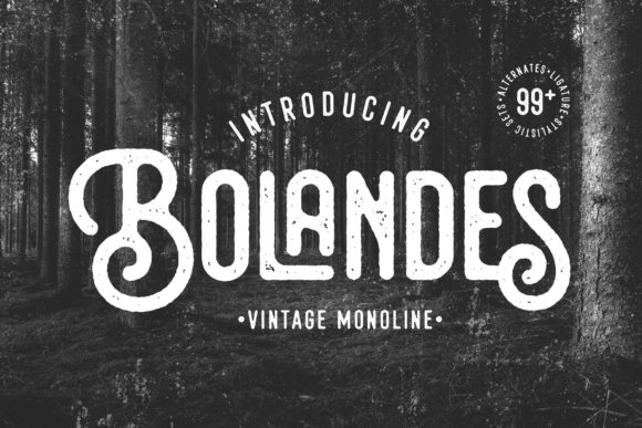 Bring Your Handmade Creations to Life with Bolandes Font
